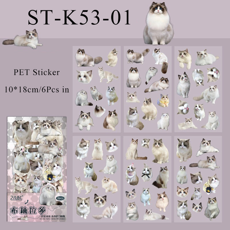 6PCS Cat star calls series sticker