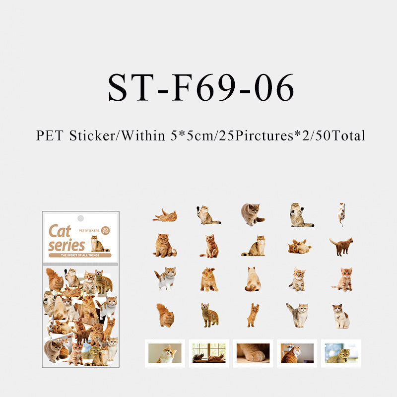 50PCS The spirit of all things cat series sticker