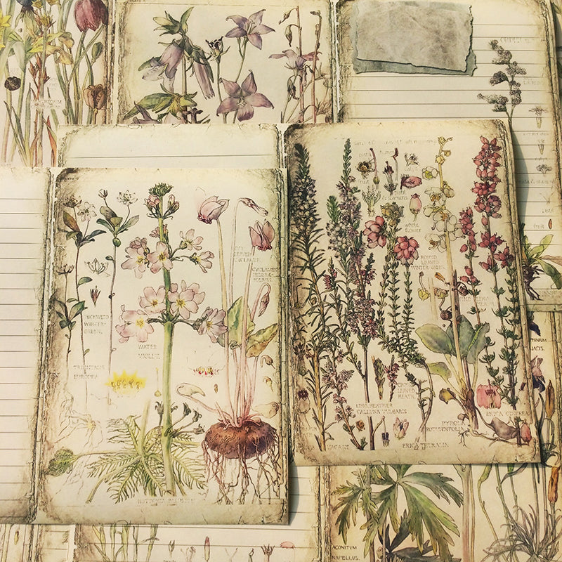 10PCS Vintage floral plant material paper