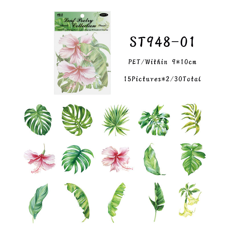 30PCS Nature Secrets series sticker