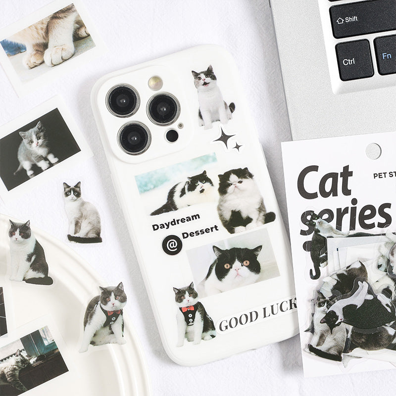 50PCS The spirit of all things cat series sticker