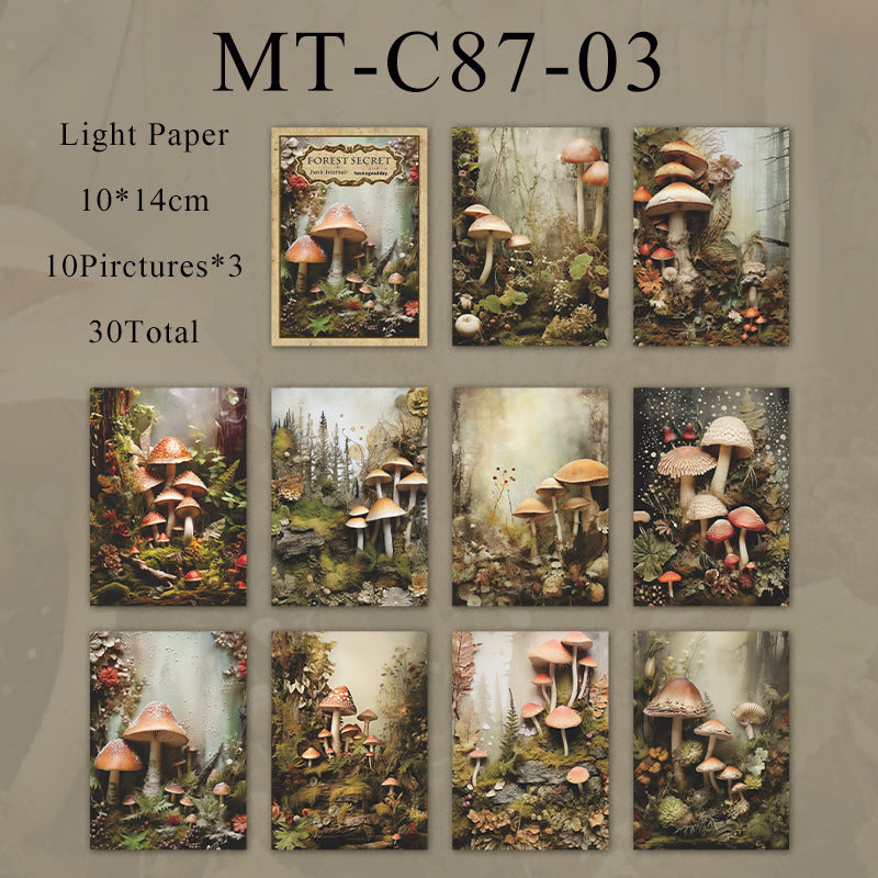 30PCS The Secret Forest series material paper