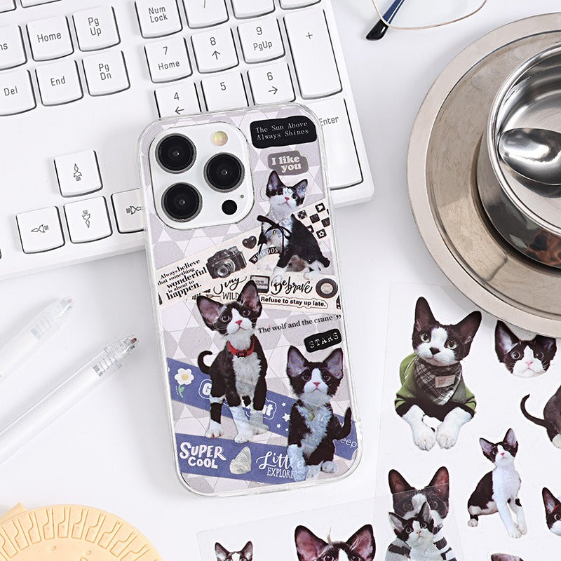 6PCS Cat star calls series sticker