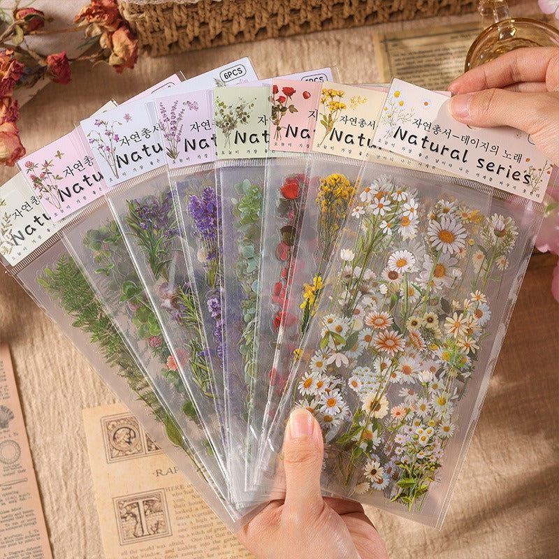 6PCS Nature book series sticker