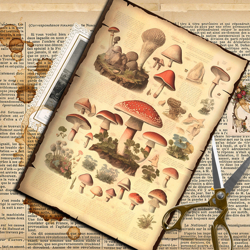 10PCS Mushroom book texturing paper