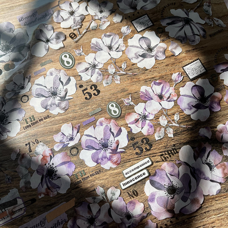 6cm*200cm Flower shadow PET Tape