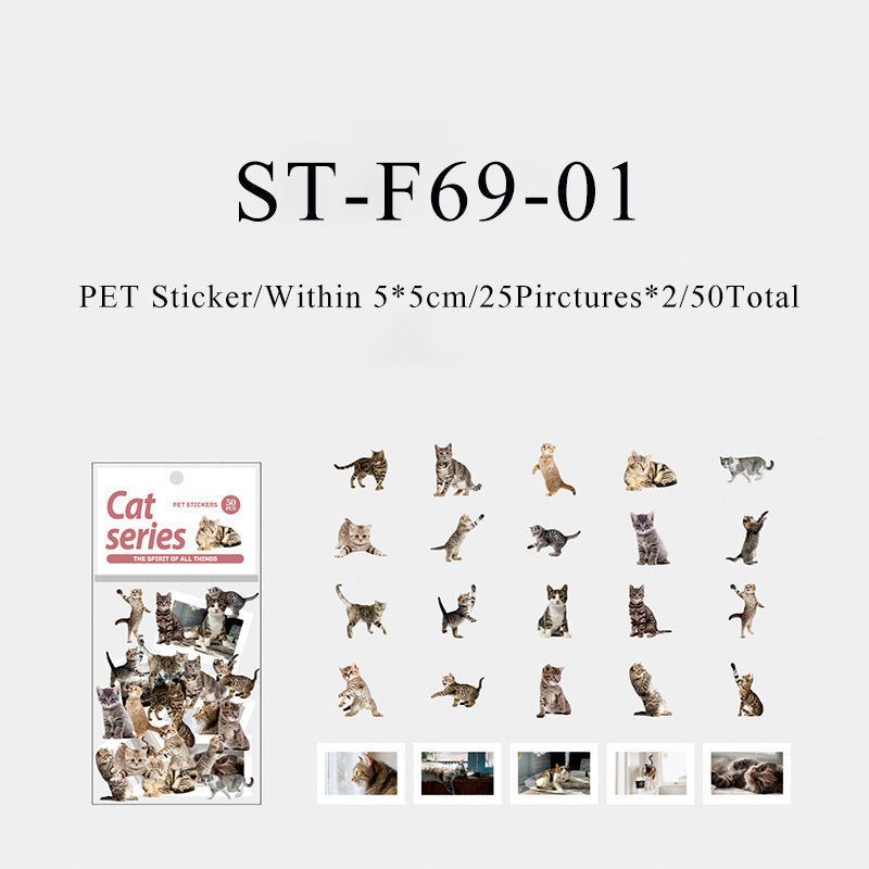 50PCS The spirit of all things cat series sticker