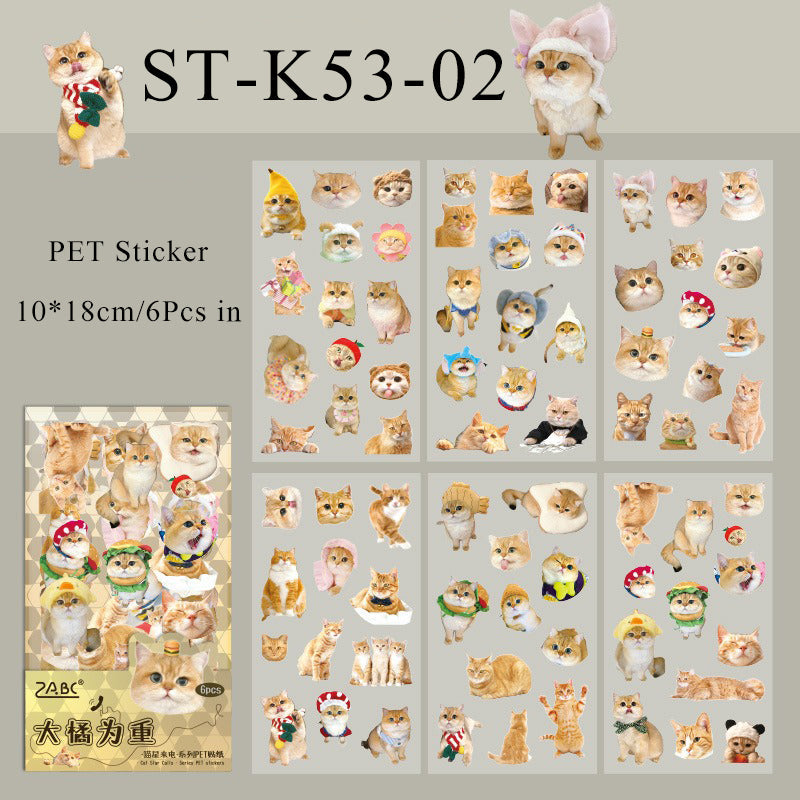 6PCS Cat star calls series sticker