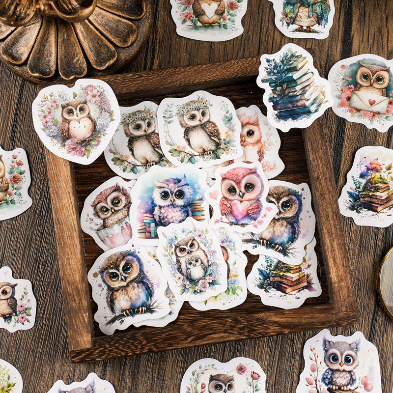 46PCS Owl Magic Society series sticker