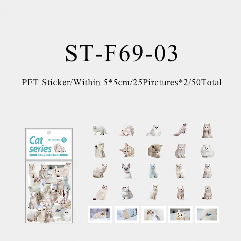 50PCS The spirit of all things cat series sticker