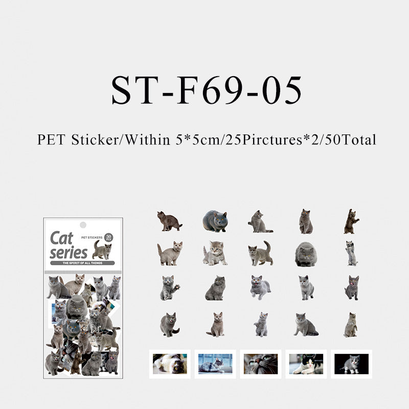 50PCS The spirit of all things cat series sticker