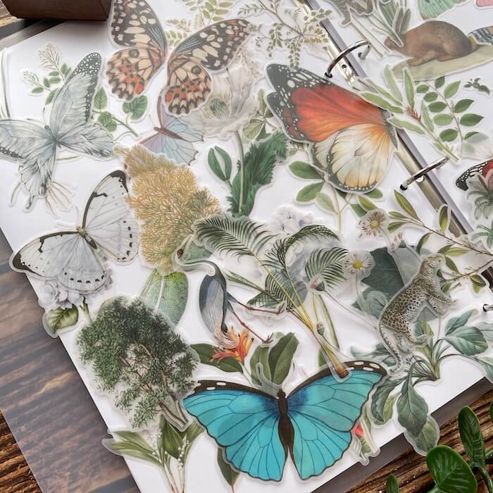 Large Size Nature Vellum Sticker 50PCS