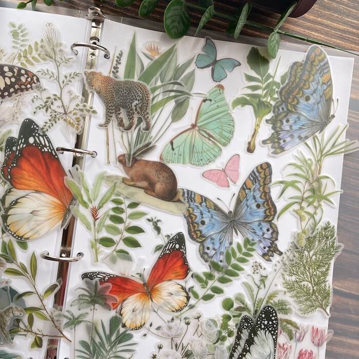 Large Size Nature Vellum Sticker 50PCS