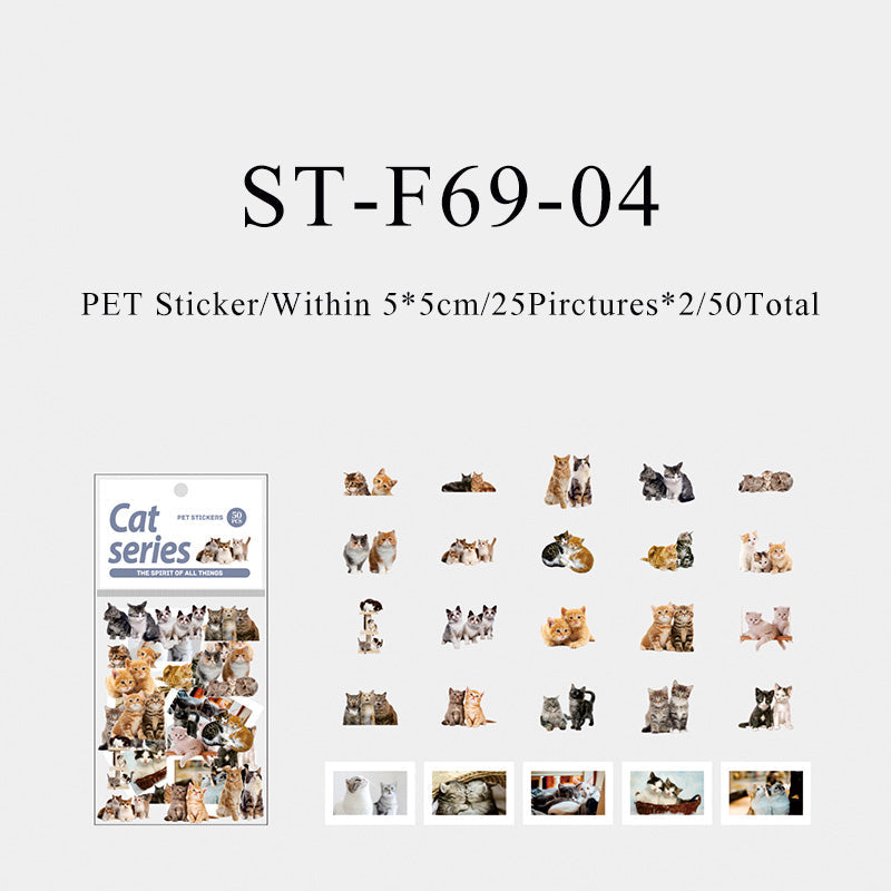 50PCS The spirit of all things cat series sticker