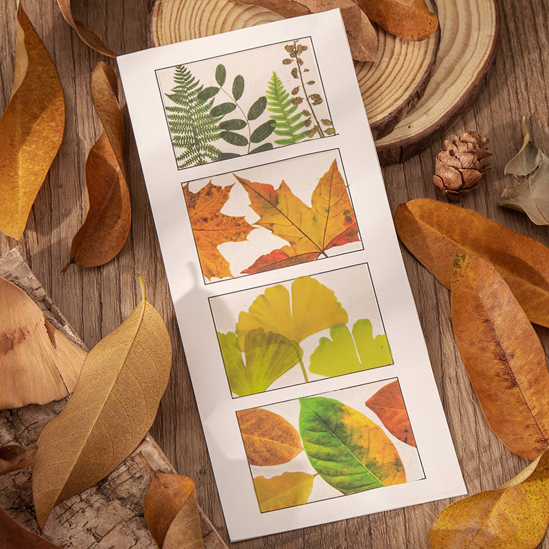 100PCS Four Seasons of leaves series sticker