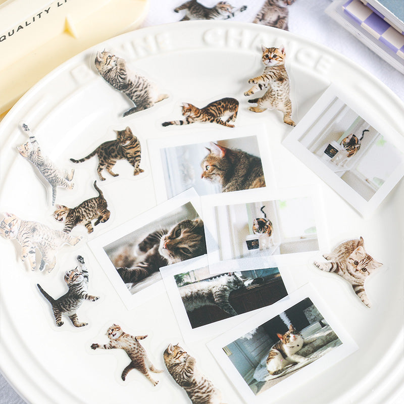 50PCS The spirit of all things cat series sticker