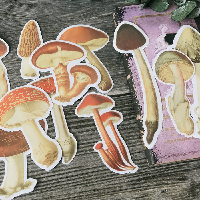 Big Mushroom Vellum Stickers