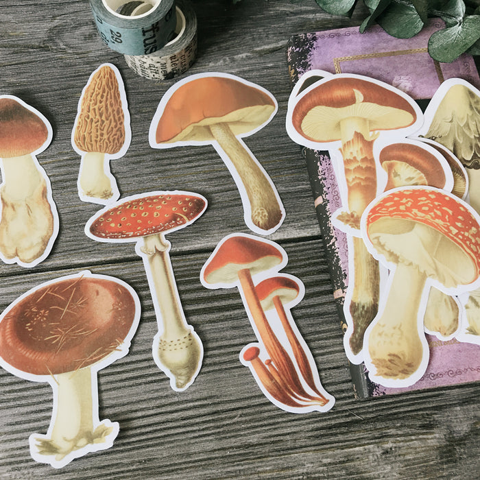 Big Mushroom Vellum Stickers