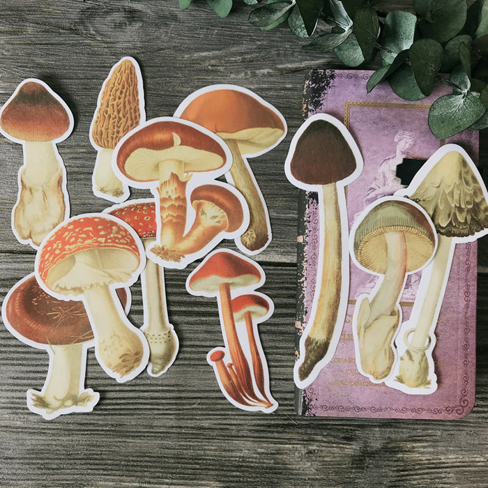 Big Mushroom Vellum Stickers