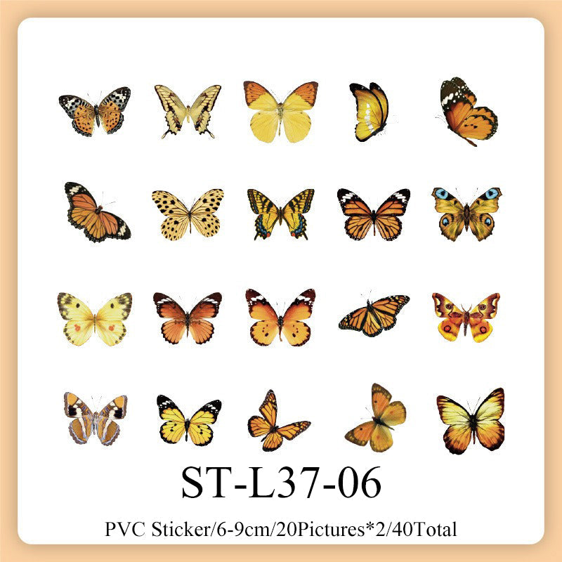 40PCS Natural history museum series sticker