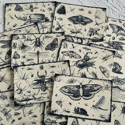 16PCS Vintage Forest Insect background paper