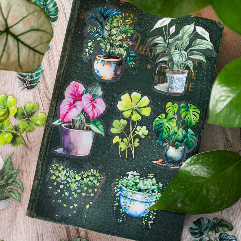 30PCS Tropical rainforest series sticker