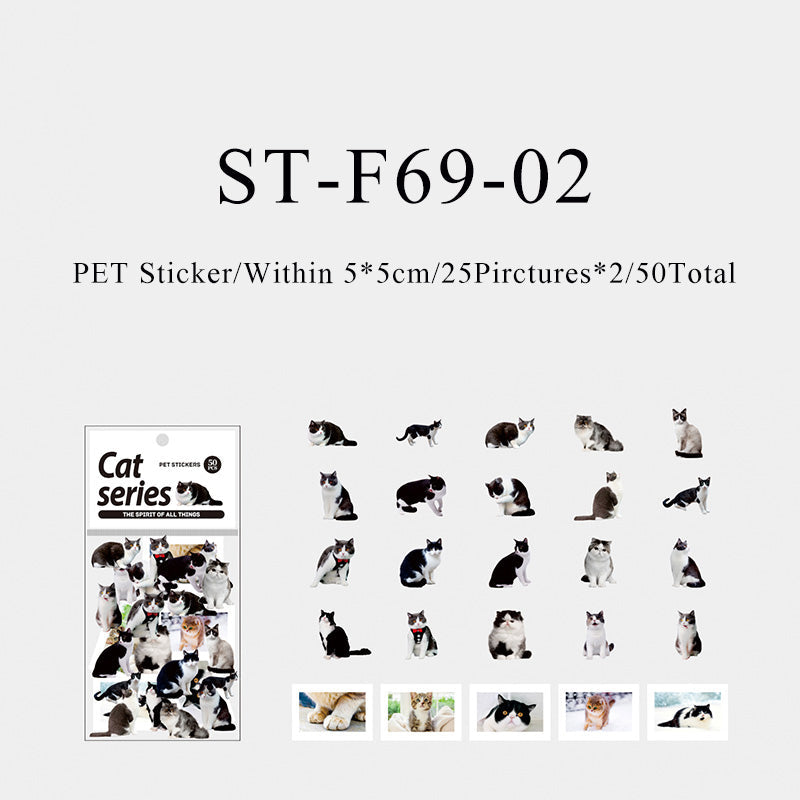 50PCS The spirit of all things cat series sticker