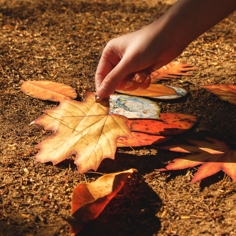 20PCS Autumn leaves flower series material paper