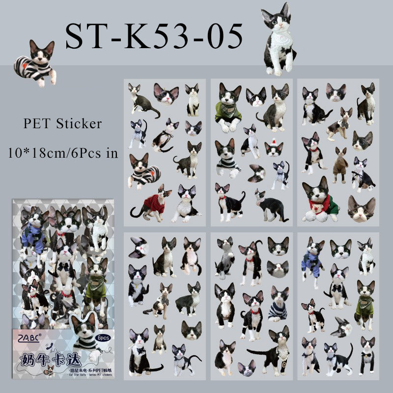 6PCS Cat star calls series sticker