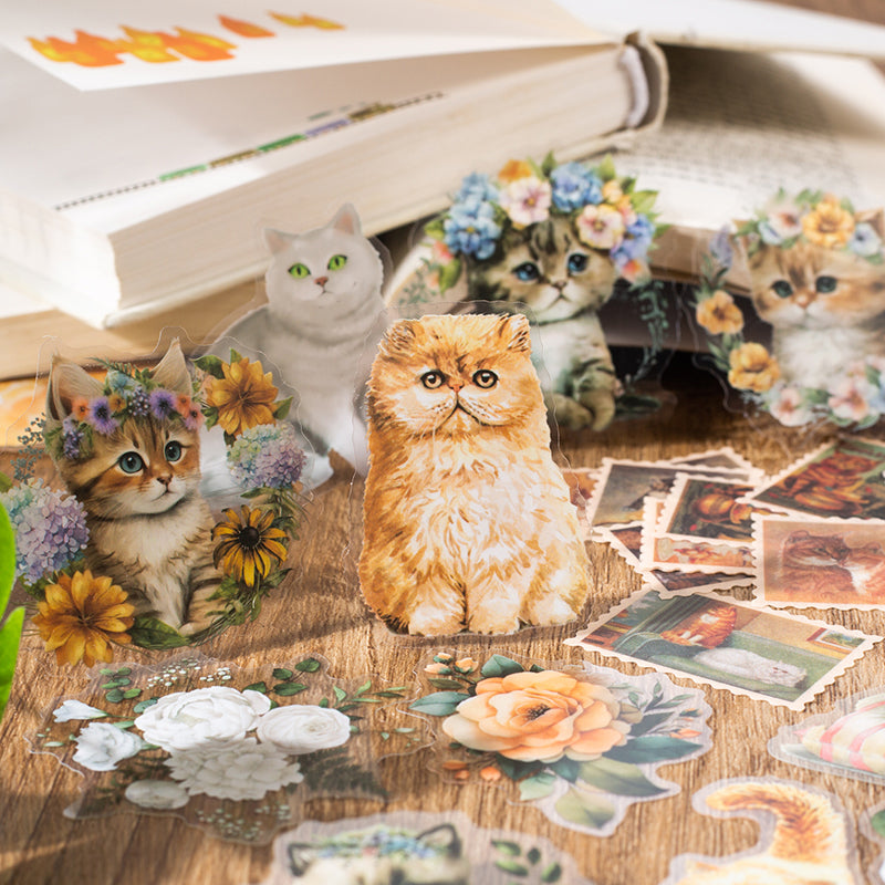 70PCS The Story of the Cat series material paper