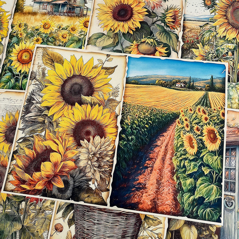 10PCS Garden sunflower background paper