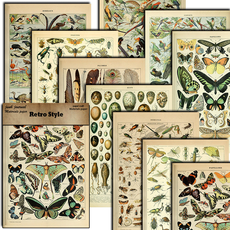 10PCS Insect map material paper