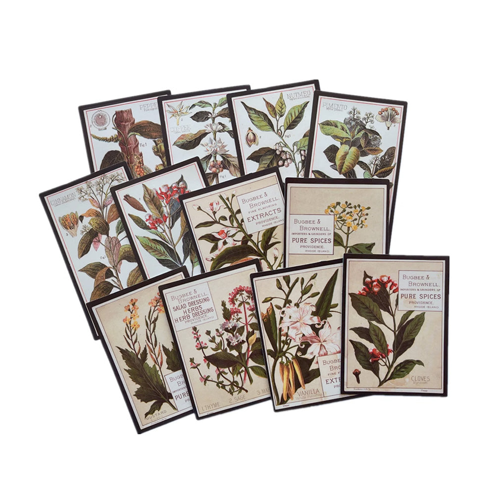 Vintage Plant Stickers 12PCS