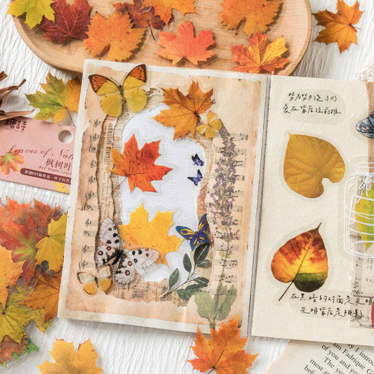 TANGSHI Nature Book Series Leaf Stickers 120PCS