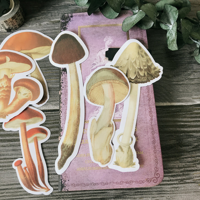 Big Mushroom Vellum Stickers