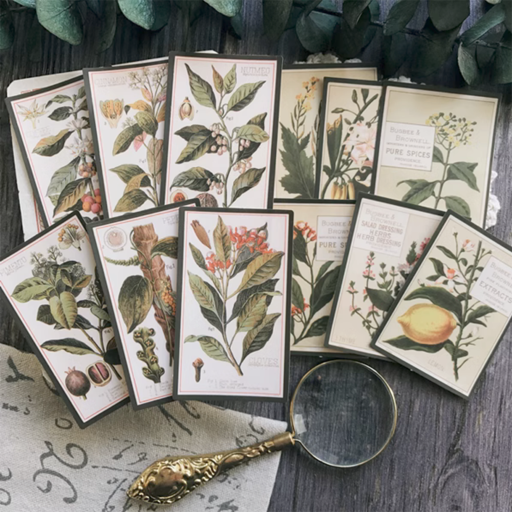 Vintage Plant Stickers 12PCS